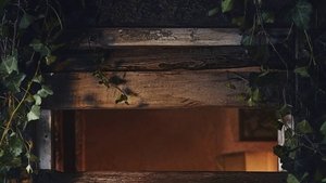 undefined Images